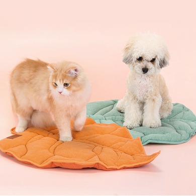 [개놀자] 강아지 고양이 내추럴 나뭇잎 방석 쿠션 사계절 양면